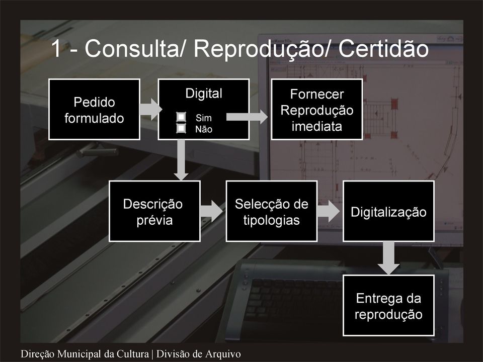 Fornecer Reprodução imediata Sim Não