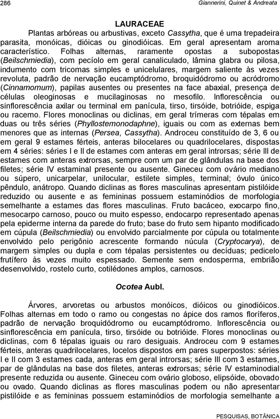 revoluta, padrão de nervação eucamptódromo, broquidódromo ou acródromo (Cinnamomum), papilas ausentes ou presentes na face abaxial, presença de células oleoginosas e mucilaginosas no mesofilo.