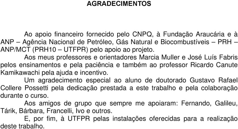 Aos meus professores e orientadores Marcia Muller e José Luís Fabris pelos ensinamentos e pela paciência e também ao professor Ricardo Canute Kamikawachi pela ajuda e incentivo.