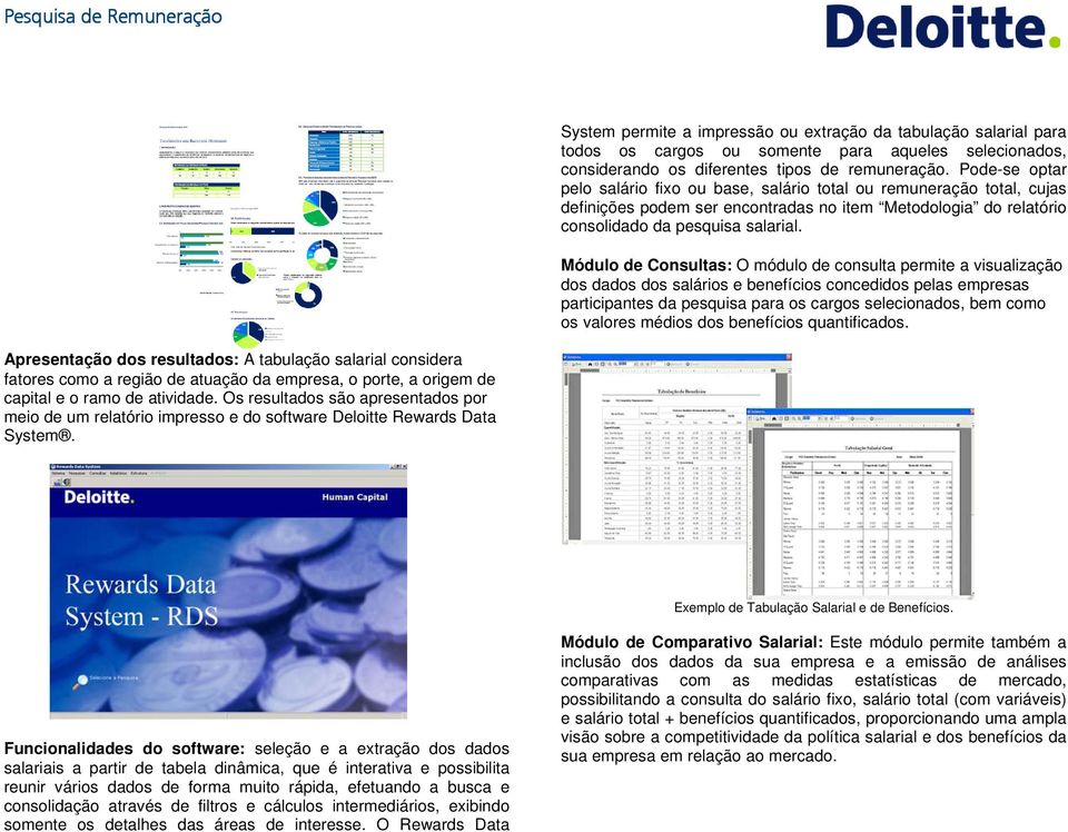 Módulo de Consultas: O módulo de consulta permite a visualização dos dados dos salários e benefícios concedidos pelas empresas participantes da pesquisa para os cargos selecionados, bem como os