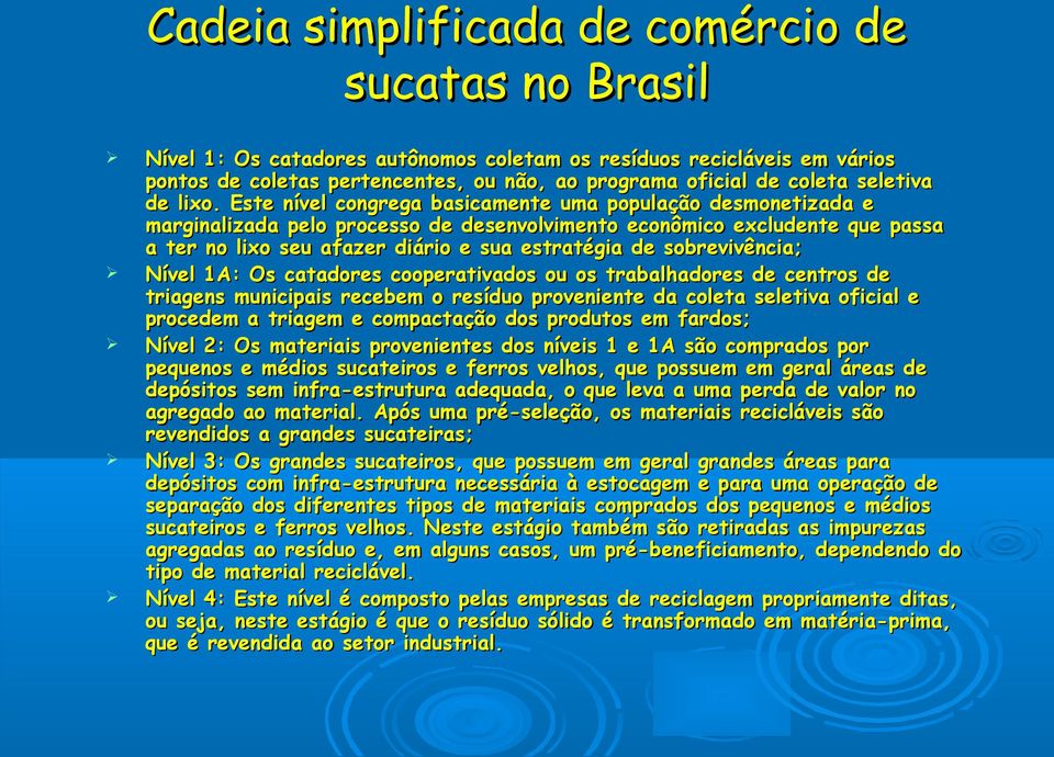 Este nível congrega basicamente uma população desmonetizada e marginalizada pelo processo de desenvolvimento econômico excludente que passa a ter no lixo seu afazer diário e sua estratégia de