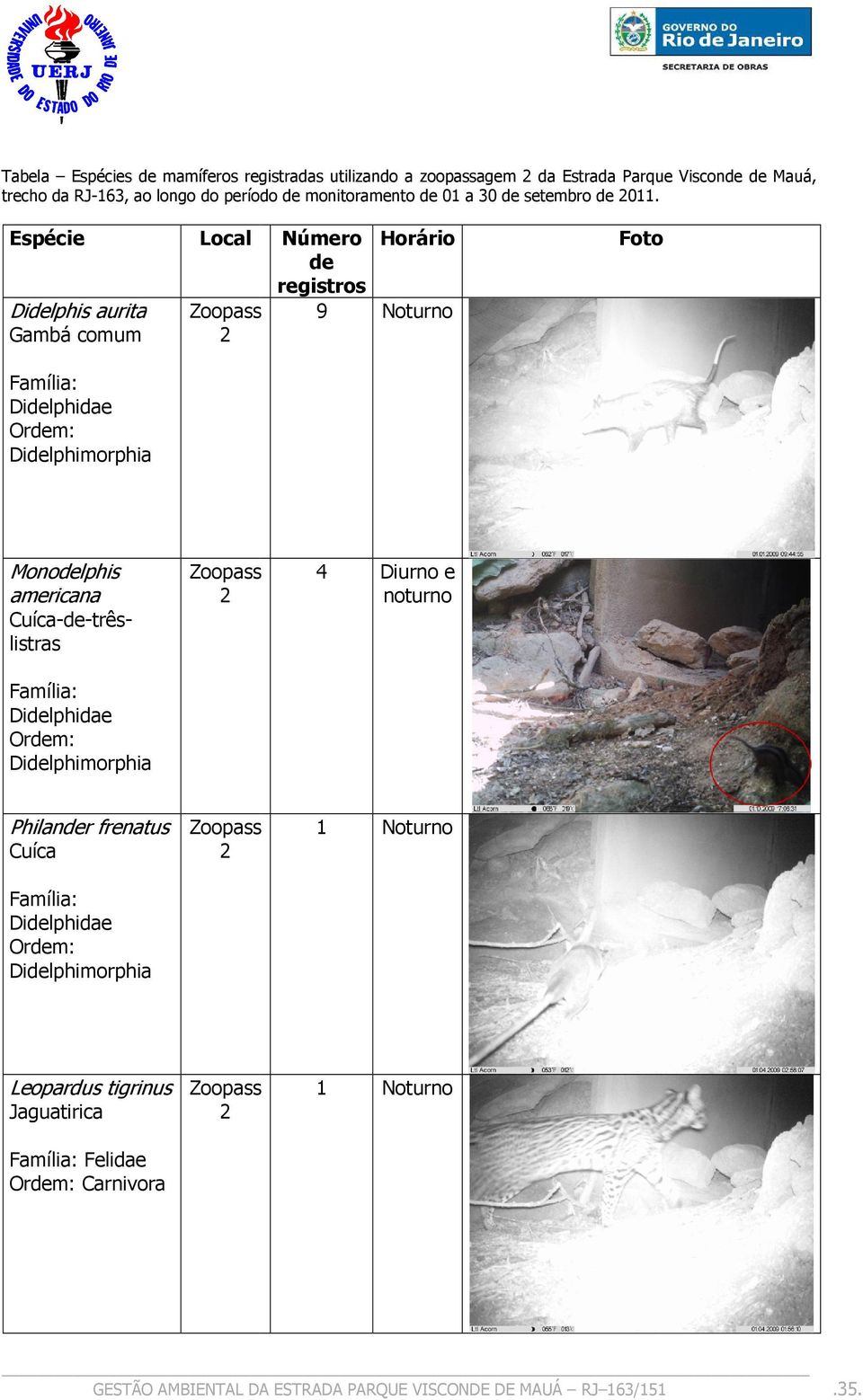 Espécie Didelphis aurita Gambá comum Local Número Horário de registros Zoopass 9 Noturno Foto Didelphidae Didelphimorphia Monodelphis americana Zoopass 4
