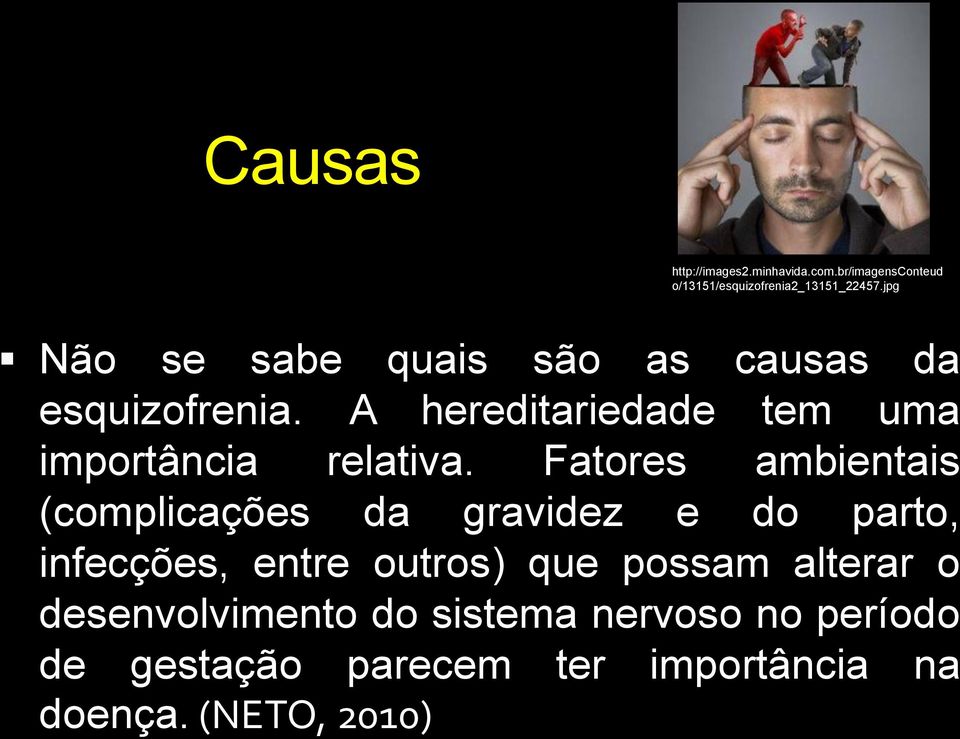 A hereditariedade tem uma importância relativa.