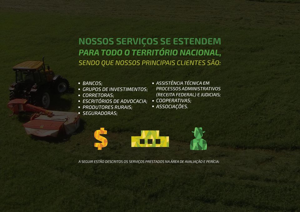 Seguradoras; Assistência técnica em processos administrativos (Receita Federal) e judiciais;