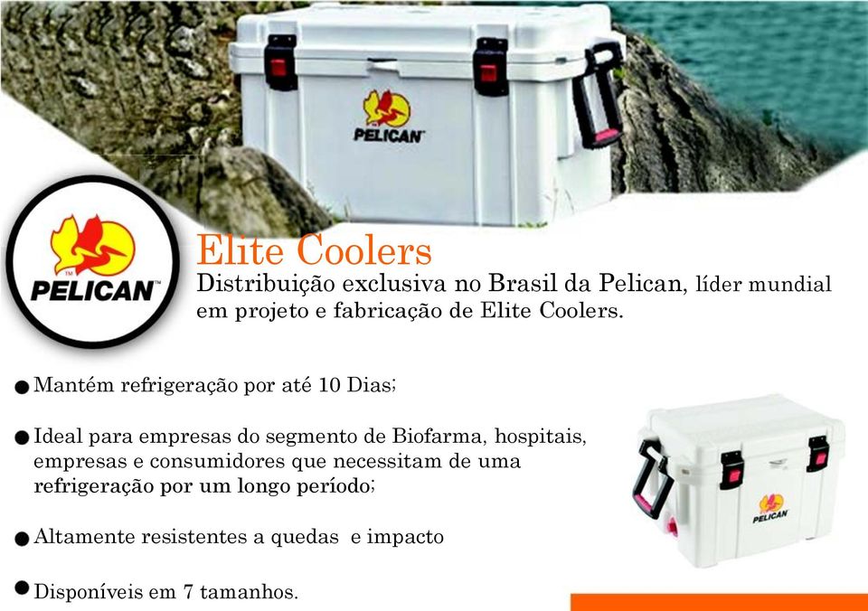 Mantém refrigeração por até 10 Dias; Ideal para empresas do segmento de Biofarma,