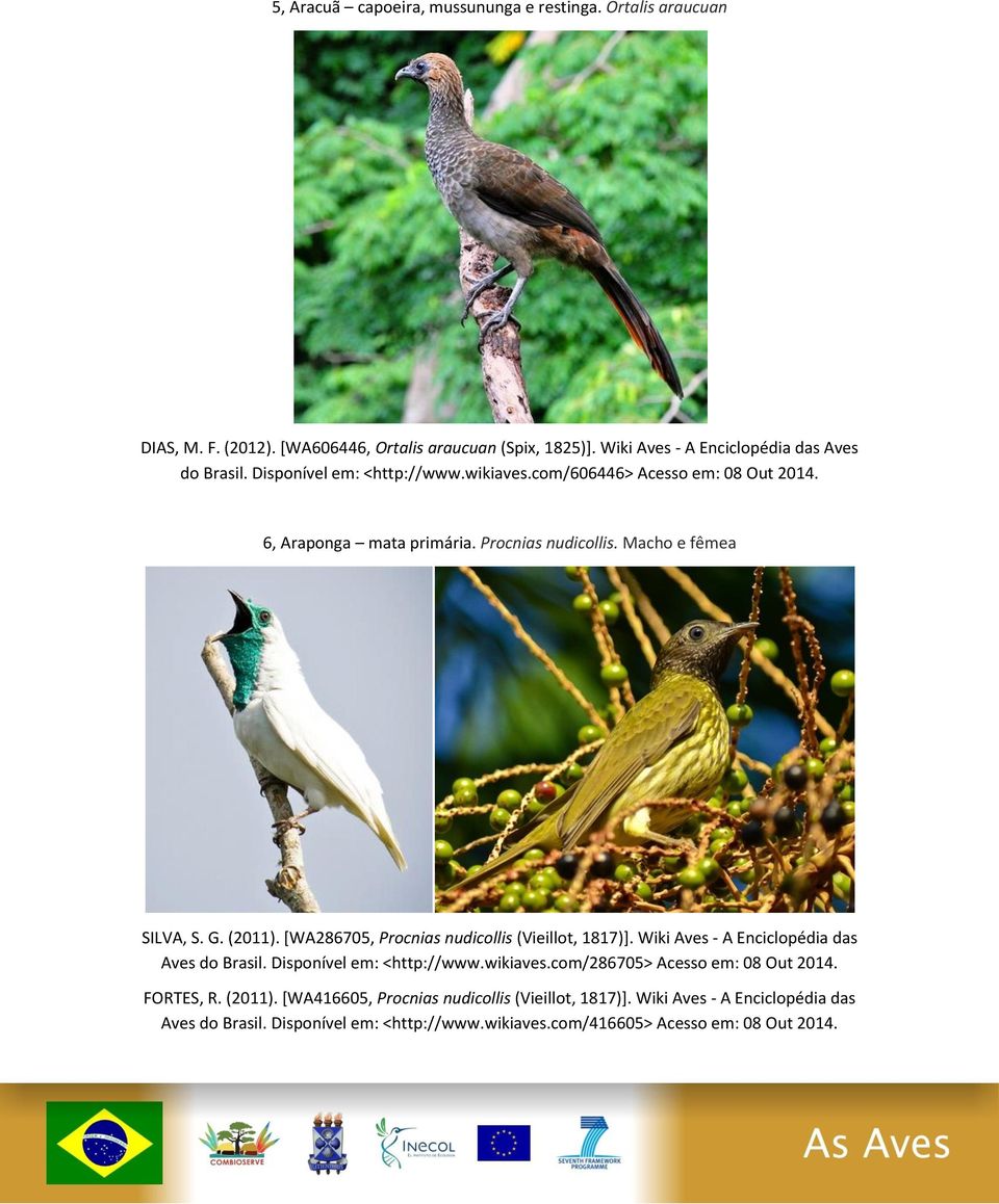 Macho e fêmea SILVA, S. G. (2011). [WA286705, Procnias nudicollis (Vieillot, 1817)]. Wiki Aves - A Enciclopédia das Aves do Brasil. Disponível em: <http://www.