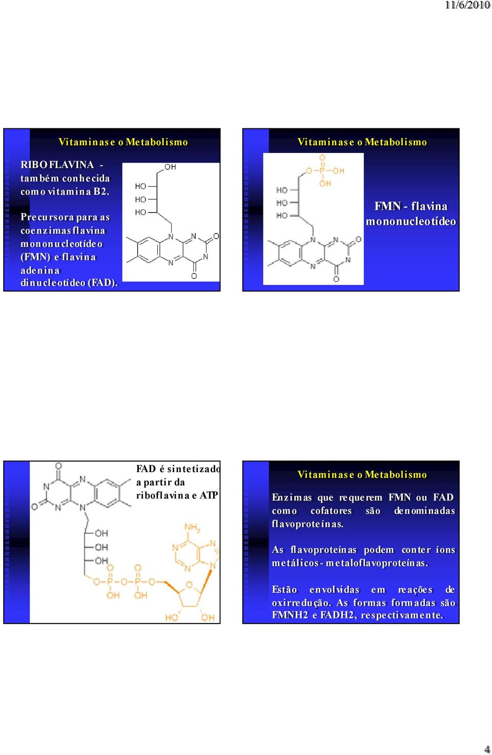 FMN - flavina mononucleotídeo FAD é sintetizado a partir da riboflavina e ATP Enzimas que requerem FMN ou FAD como