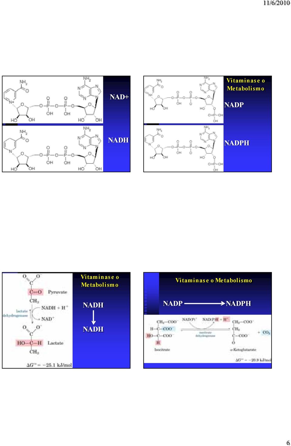 NADPH Vitaminas e o