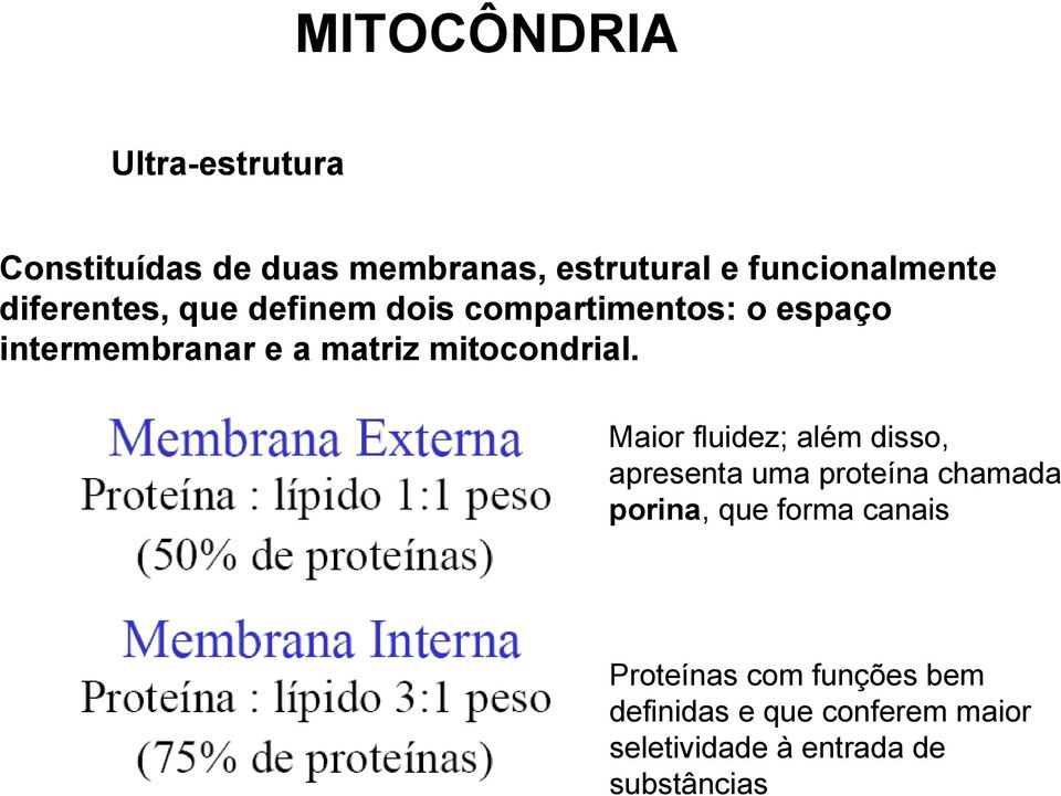 mitocondrial.