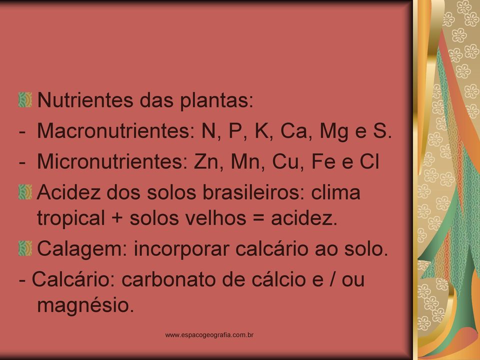 brasileiros: clima tropical + solos velhos = acidez.
