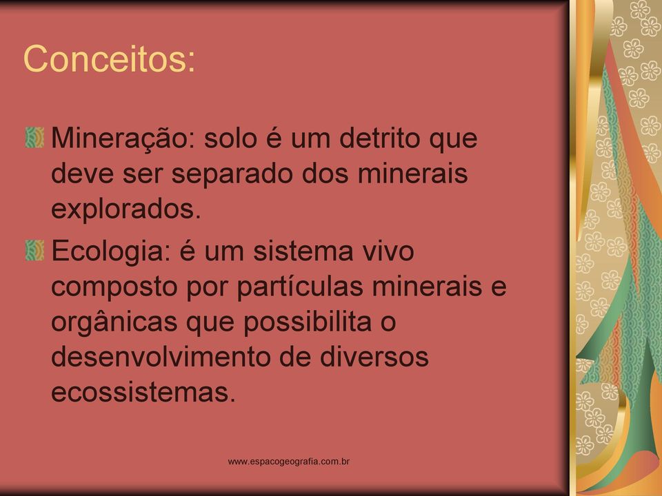 Ecologia: é um sistema vivo composto por partículas