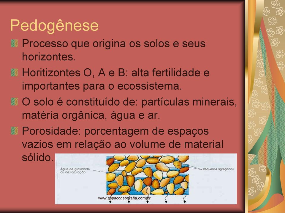 O solo é constituído de: partículas minerais, matéria orgânica, água e