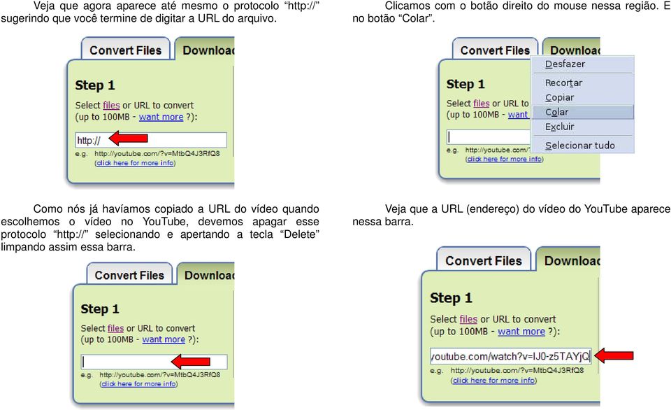 Como nós já havíamos copiado a URL do vídeo quando escolhemos o vídeo no YouTube, devemos apagar esse