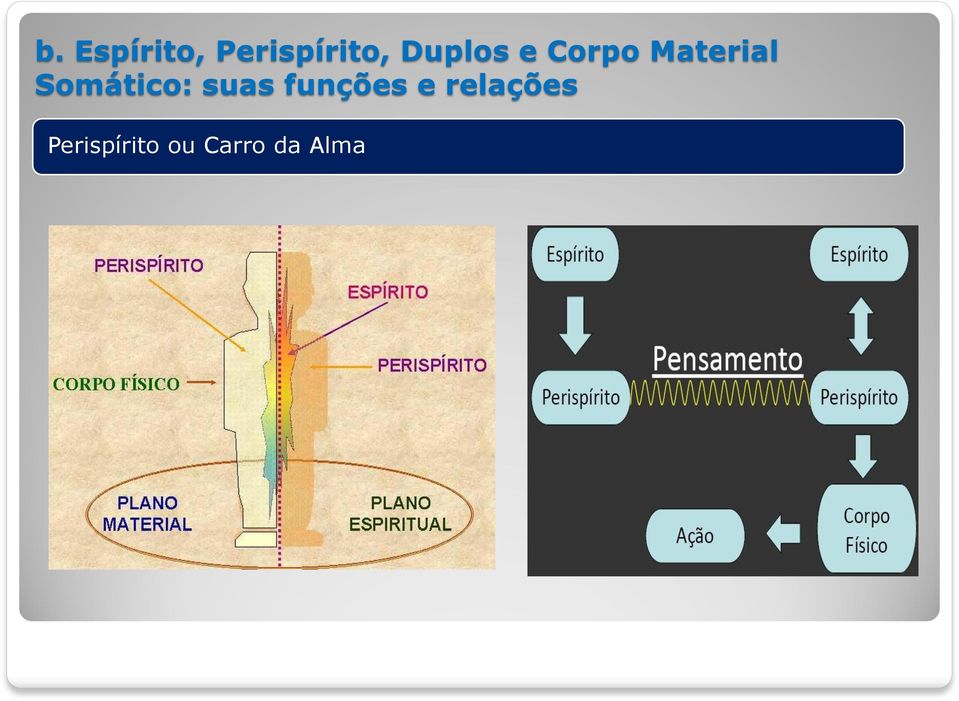 Somático: suas funções e