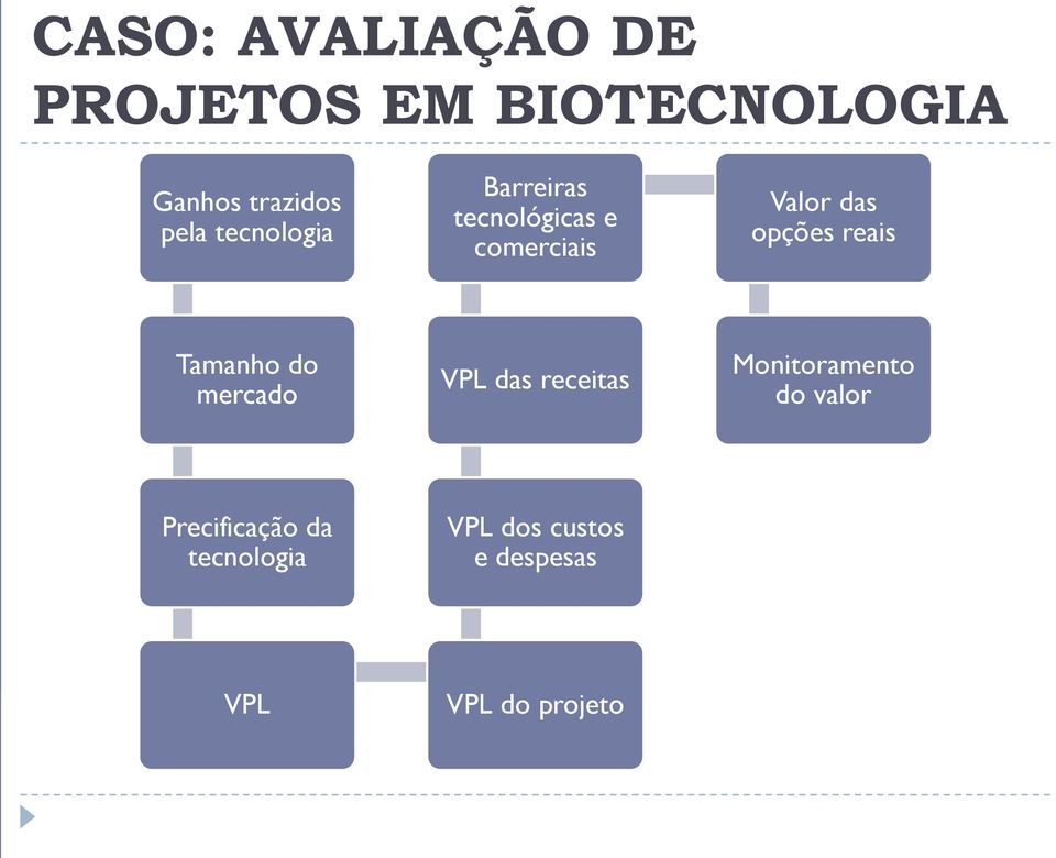 reais Tamanho do mercado VPL das receitas Monitoramento do valor