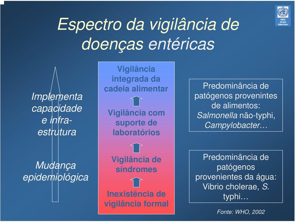 alimentos: Salmonella não-typhi, Campylobacter Mudança epidemiológica Vigilância de síndromes