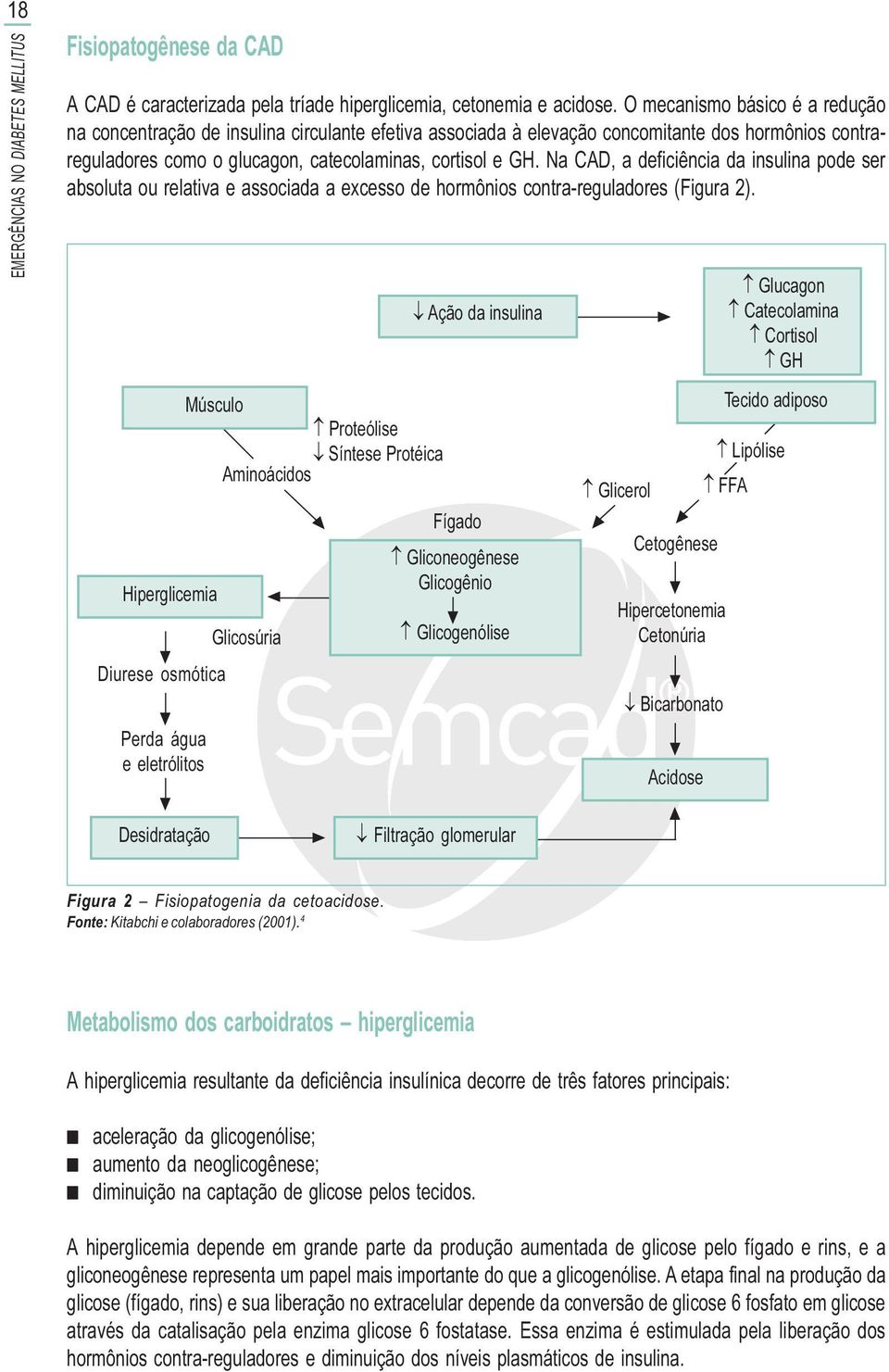 Na CAD, a deficiência da insulina pode ser absoluta ou relativa e associada a excesso de hormônios contra-reguladores (Figura 2).