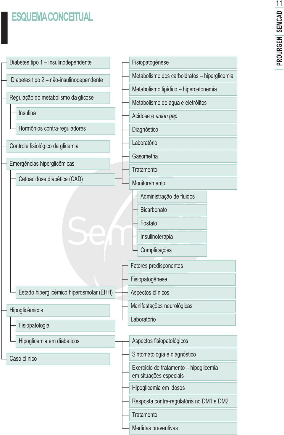 carboidratos hiperglicemia Metabolismo lipídico hipercetonemia Metabolismo de água e eletrólitos Acidose e anion gap Diagnóstico Laboratório Gasometria Tratamento Monitoramento Administração de