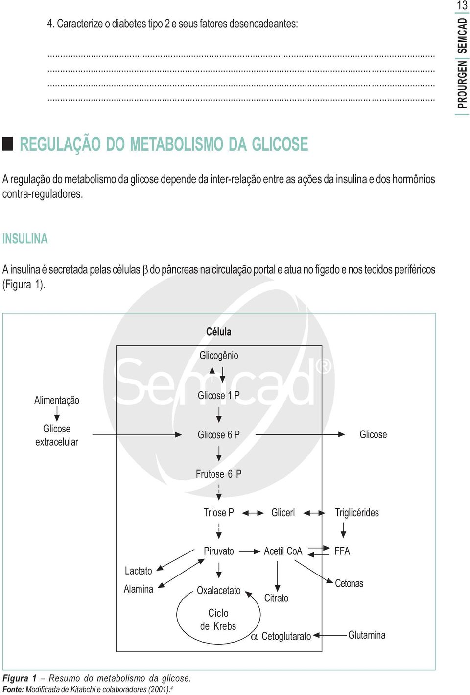 contra-reguladores. INSULINA A insulina é secretada pelas células β do pâncreas na circulação portal e atua no fígado e nos tecidos periféricos (Figura 1).