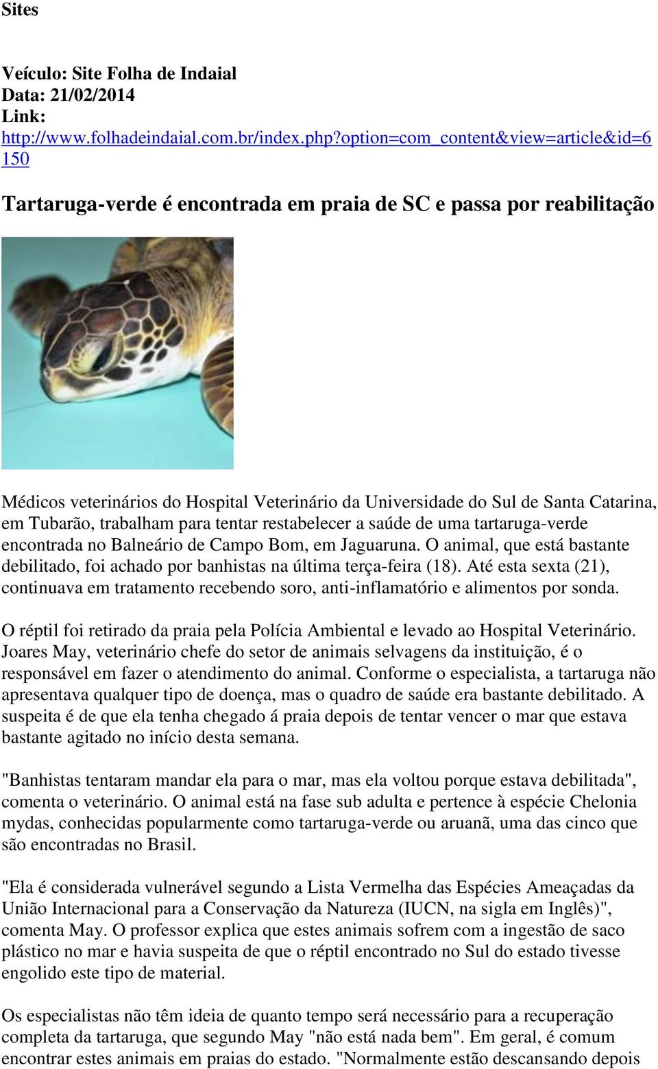 Tubarão, trabalham para tentar restabelecer a saúde de uma tartaruga-verde encontrada no Balneário de Campo Bom, em Jaguaruna.