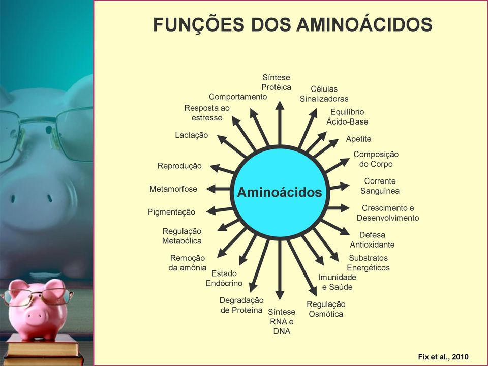 Síntese RNA e DNA Células Sinalizadoras Equilíbrio Ácido-Base Substratos Energéticos Imunidade e Saúde