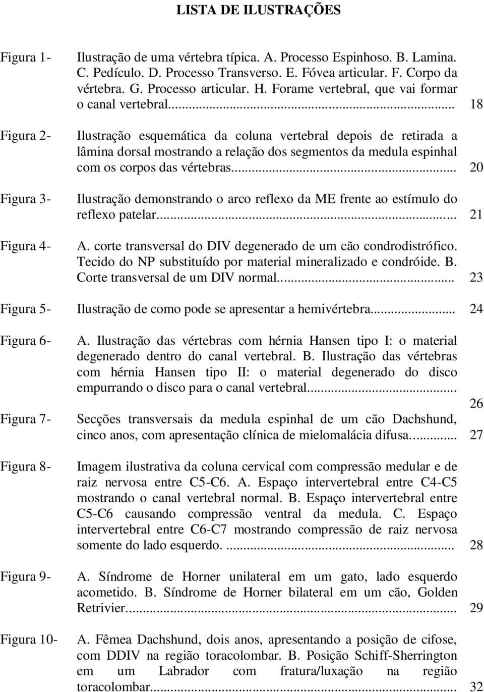 .. 18 Ilustração esquemática da coluna vertebral depois de retirada a lâmina dorsal mostrando a relação dos segmentos da medula espinhal com os corpos das vértebras.