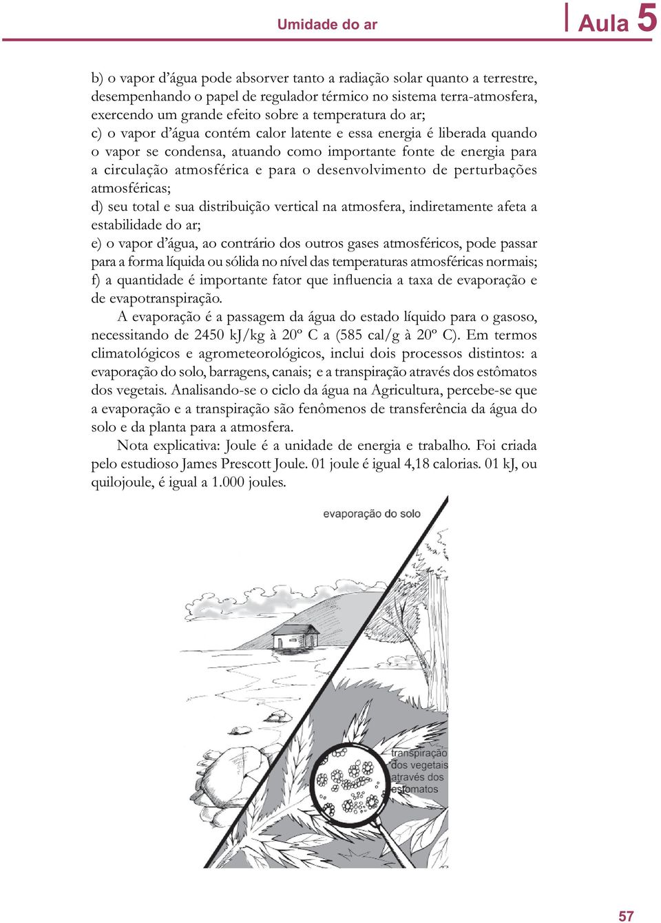 desenvolvimento de perturbações atmosféricas; d) seu total e sua distribuição vertical na atmosfera, indiretamente afeta a estabilidade do ar; e) o vapor d água, ao contrário dos outros gases