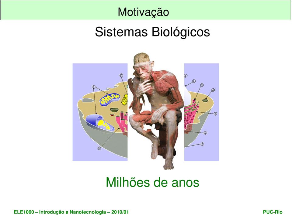 Biológicos