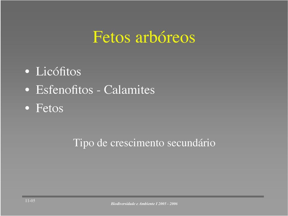 - Calamites Fetos