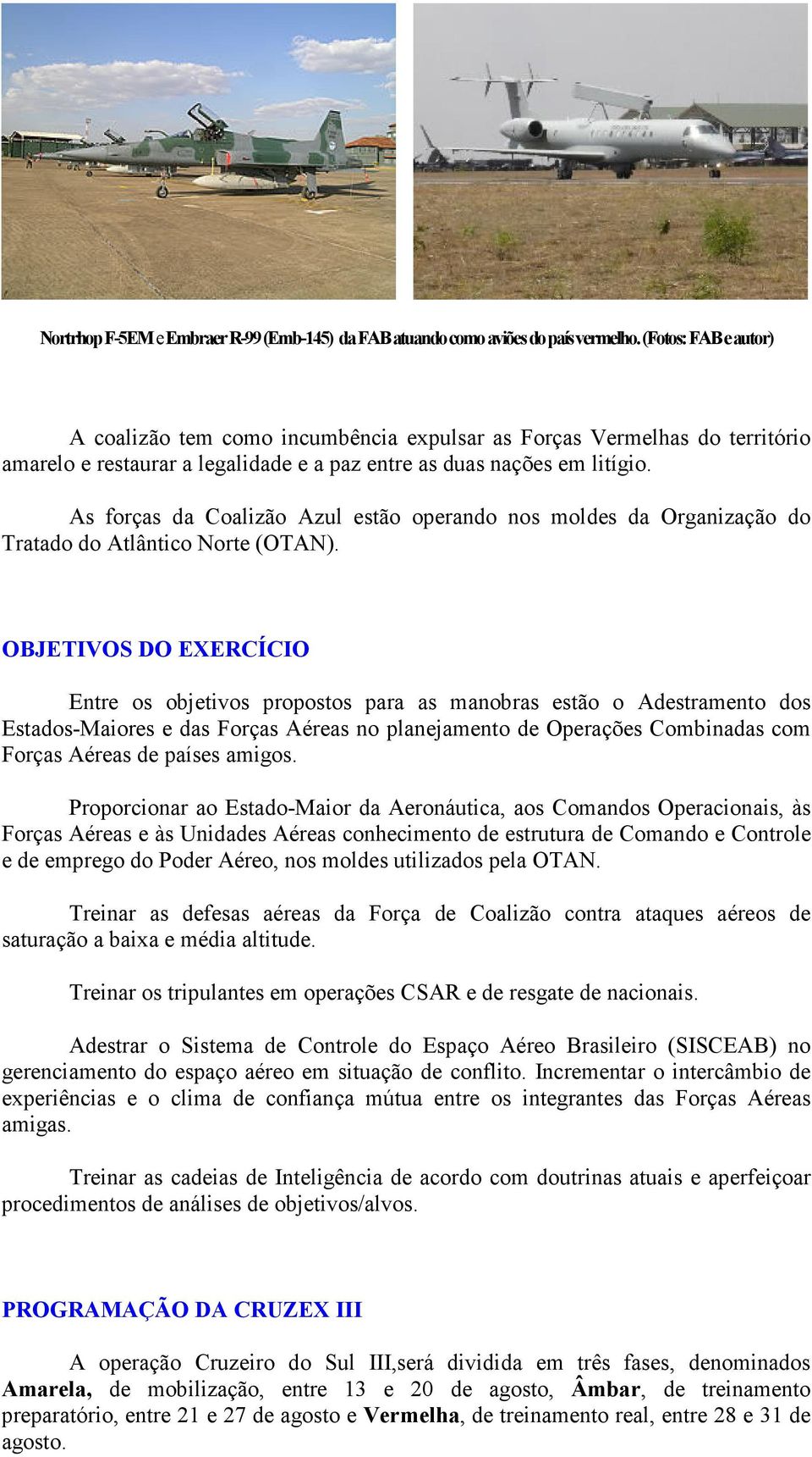 As forças da Coalizão Azul estão operando nos moldes da Organização do Tratado do Atlântico Norte (OTAN).