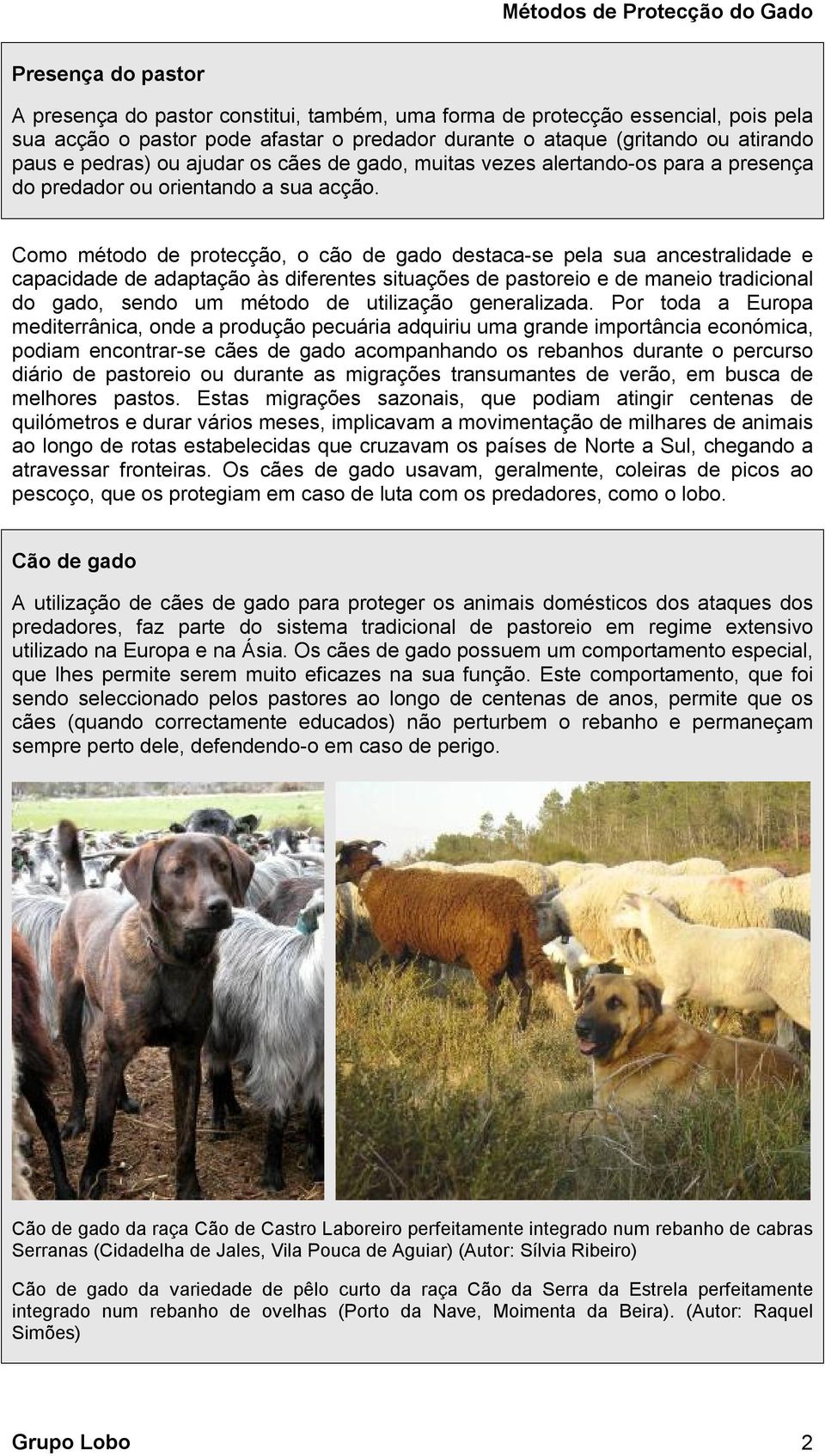 Como método de protecção, o cão de gado destaca-se pela sua ancestralidade e capacidade de adaptação às diferentes situações de pastoreio e de maneio tradicional do gado, sendo um método de