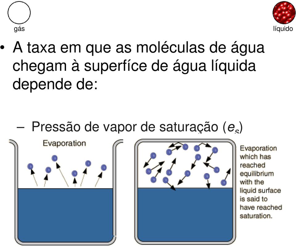 pressão de vapor na qual o vapor d'água está em equilíbrio