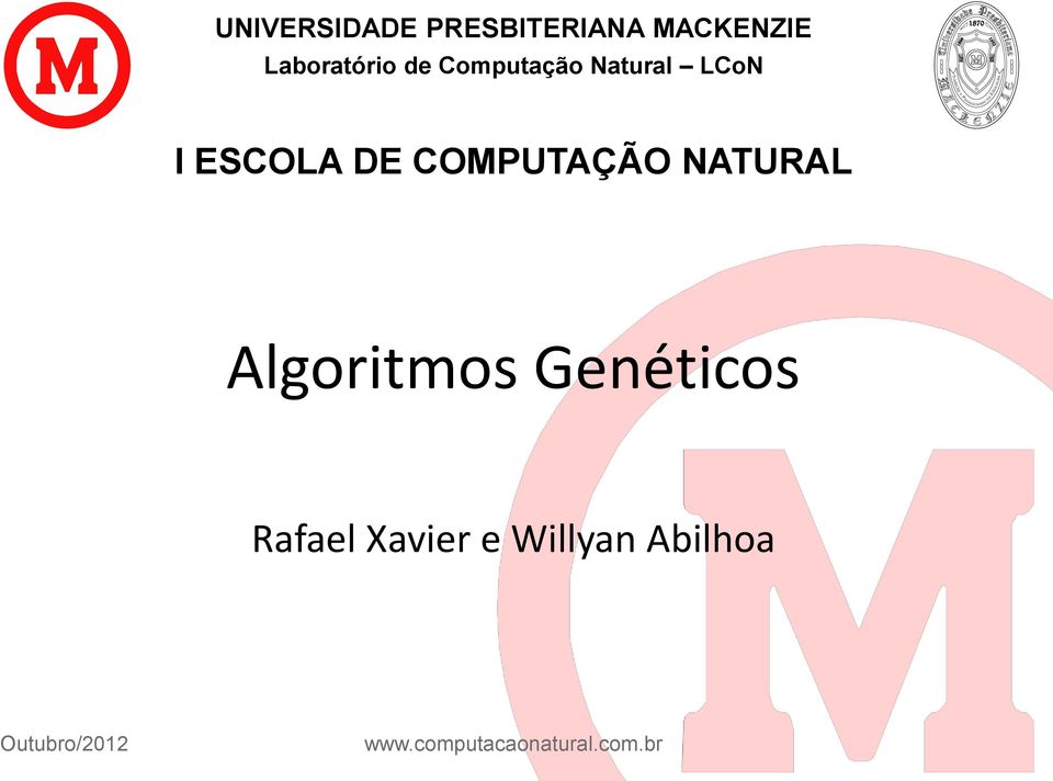 NATURAL Algoritmos Genéticos Rafael Xavier e