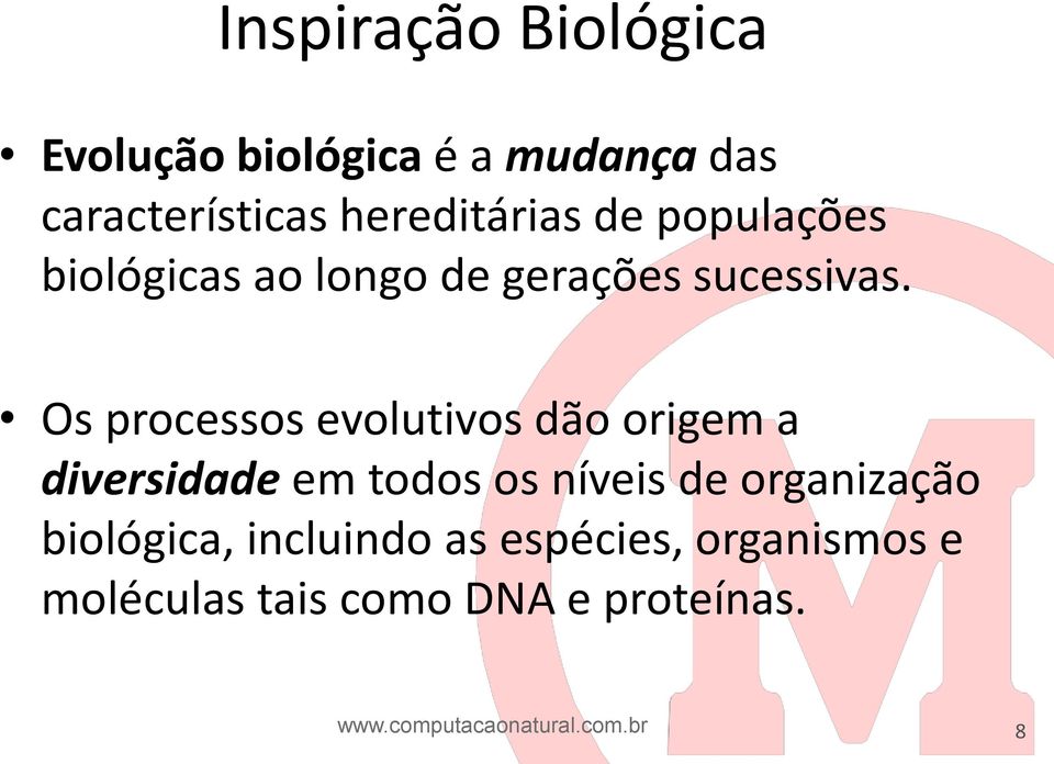 Os processos evolutivos dão origem a diversidade em todos os níveis de organização