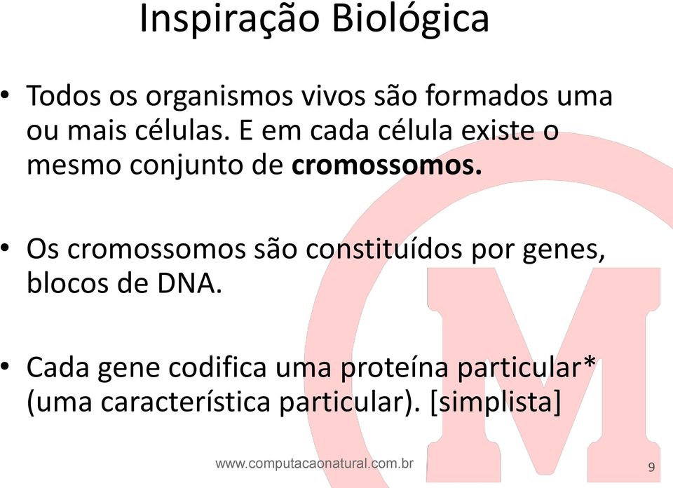 Os cromossomos são constituídos por genes, blocos de DNA.