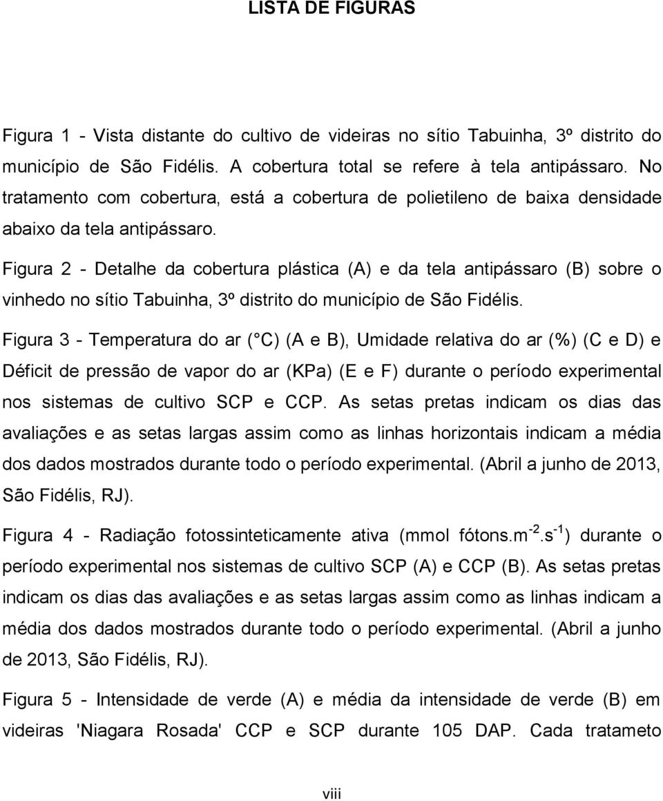 Figura 2 - Detalhe da cobertura plástica (A) e da tela antipássaro (B) sobre o vinhedo no sítio Tabuinha, 3º distrito do município de São Fidélis.