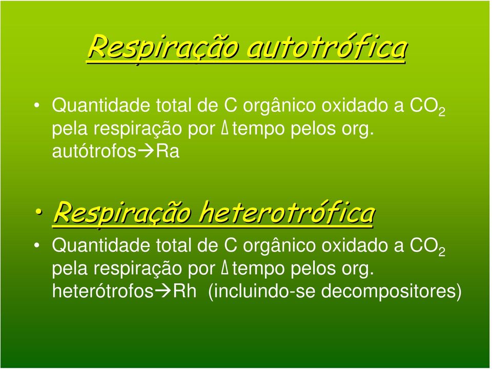 autótrofos Ra Respiração heterotrófica Quantidade total de C
