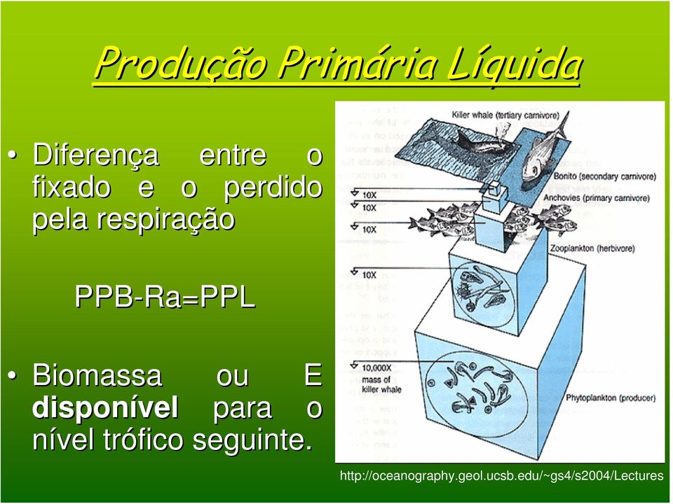 Biomassa ou E disponível para o nível trófico