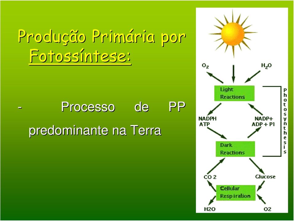 ntese: - Processo de