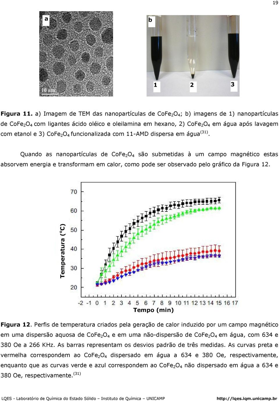 CoFe 2 O 4 funcionalizada com 11-AMD dispersa em água (31).