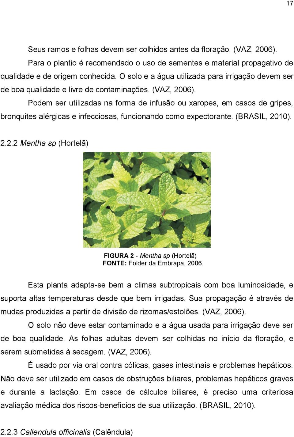 Podem ser utilizadas na forma de infusão ou xaropes, em casos de gripes, bronquites alérgicas e infecciosas, funcionando como expectorante. (BRASIL, 20