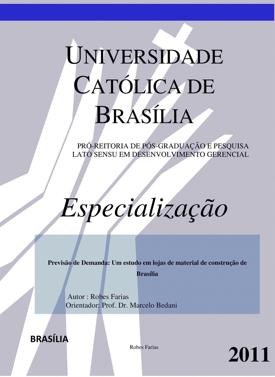 de Demanda: Um estudo em lojas de material de construção de Brasília