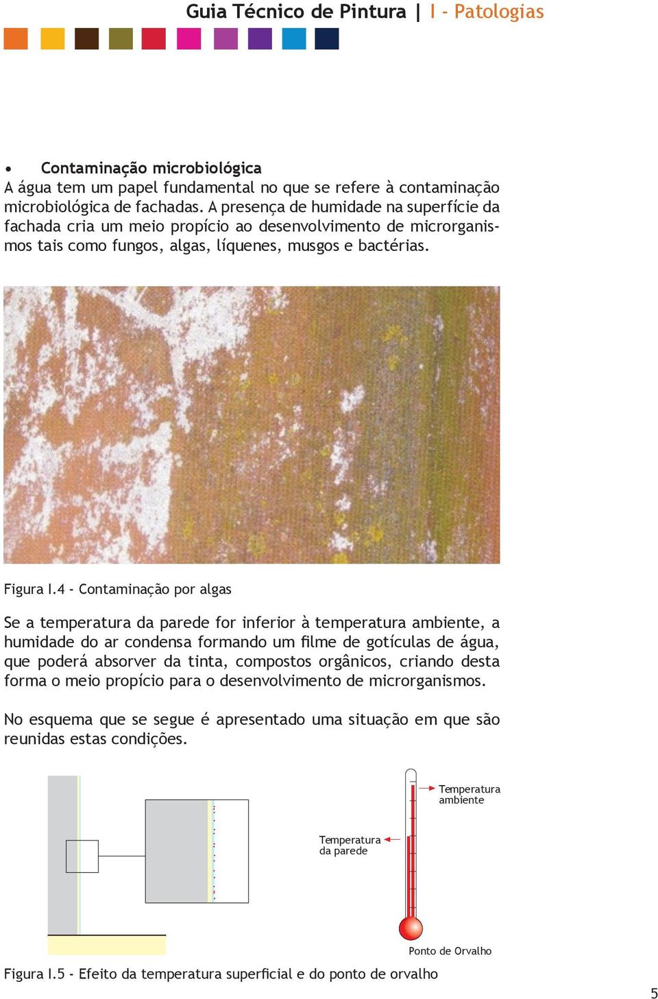 4 - Contaminação por algas Se a temperatura da parede for inferior à temperatura ambiente, a humidade do ar condensa formando um filme de gotículas de água, que poderá absorver da tinta, compostos