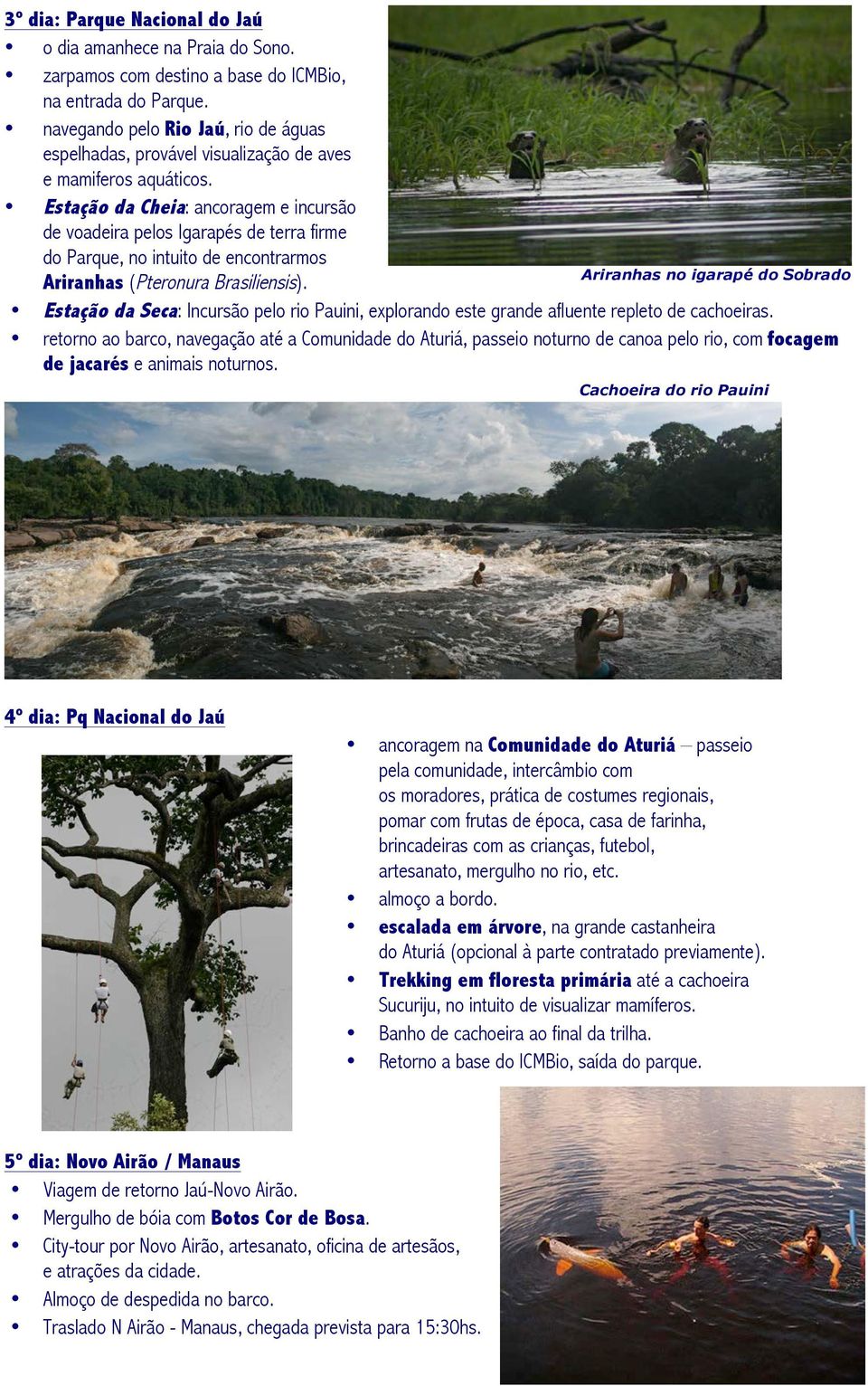 Estação da Cheia: ancoragem e incursão de voadeira pelos Igarapés de terra firme do Parque, no intuito de encontrarmos Ariranhas (Pteronura Brasiliensis).