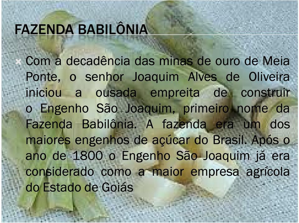 Fazenda Babilônia. A fazenda era um dos maiores engenhos de açúcar do Brasil.