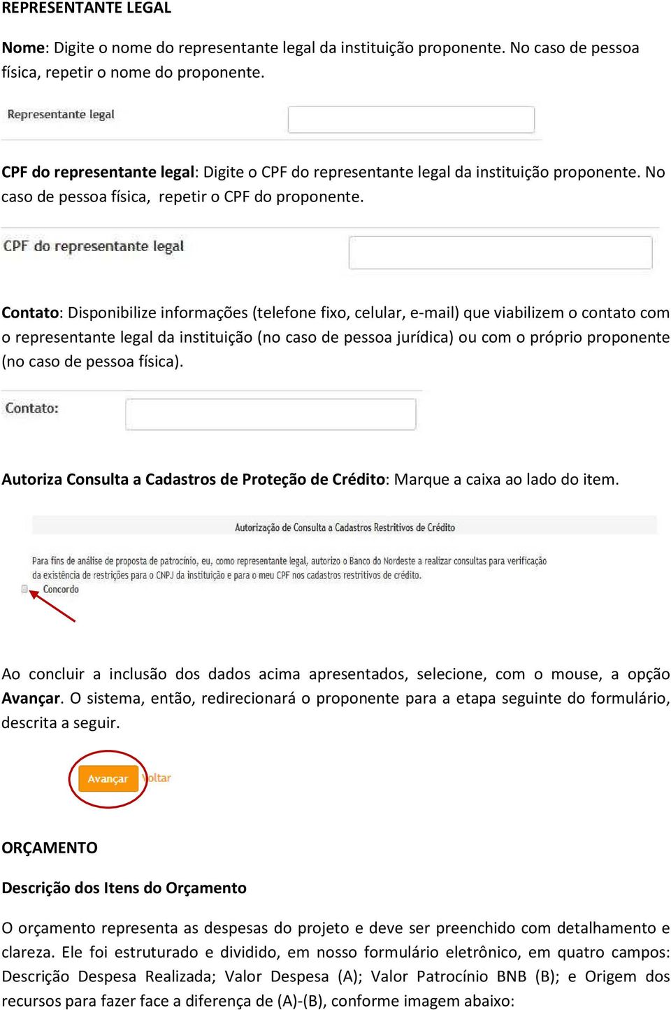 Contato: Disponibilize informações (telefone fixo, celular, e-mail) que viabilizem o contato com o representante legal da instituição (no caso de pessoa jurídica) ou com o próprio proponente (no caso