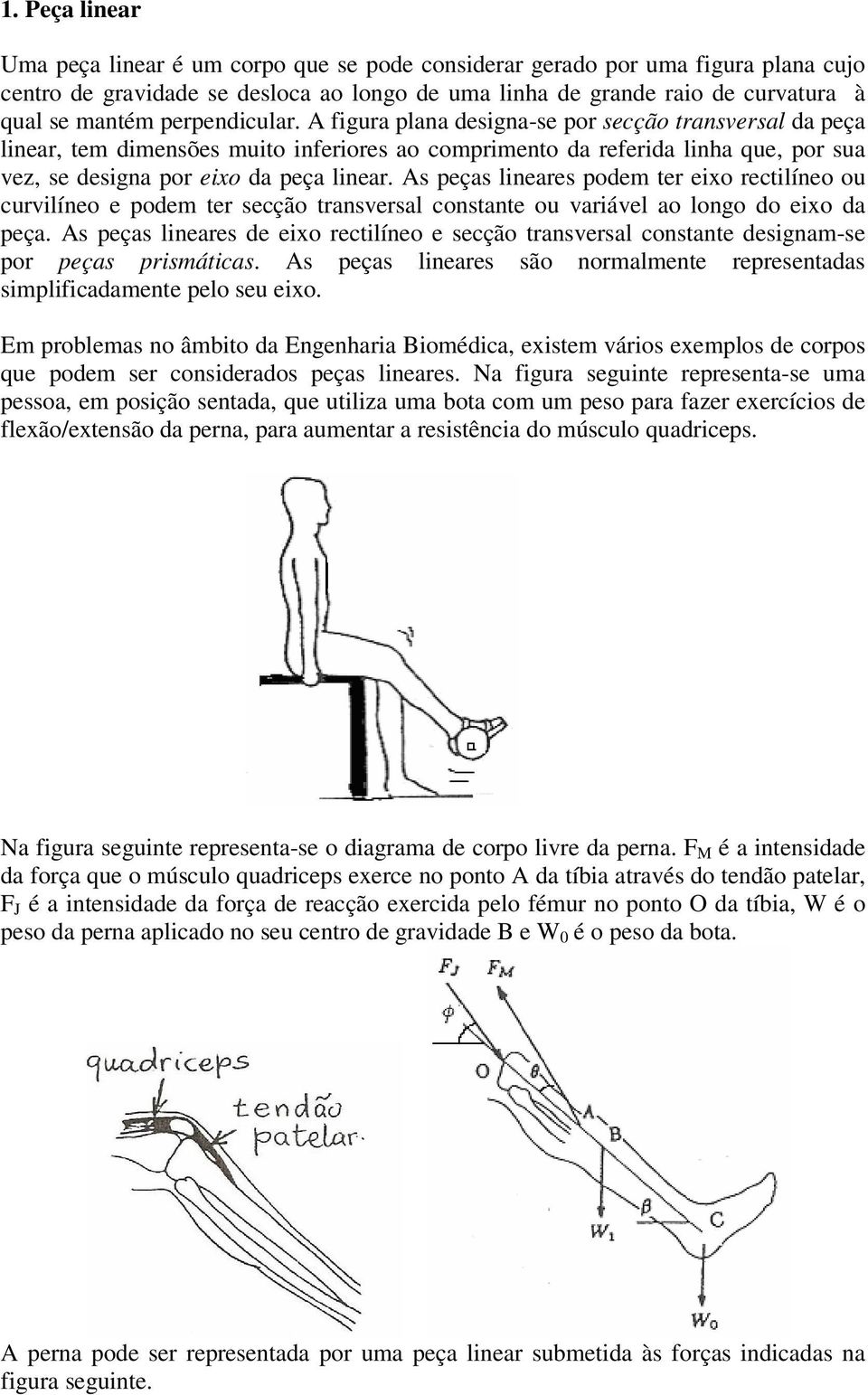 s peças lineares podem ter eixo rectilíneo ou curvilíneo e podem ter secção transversal constante ou variável ao longo do eixo da peça.