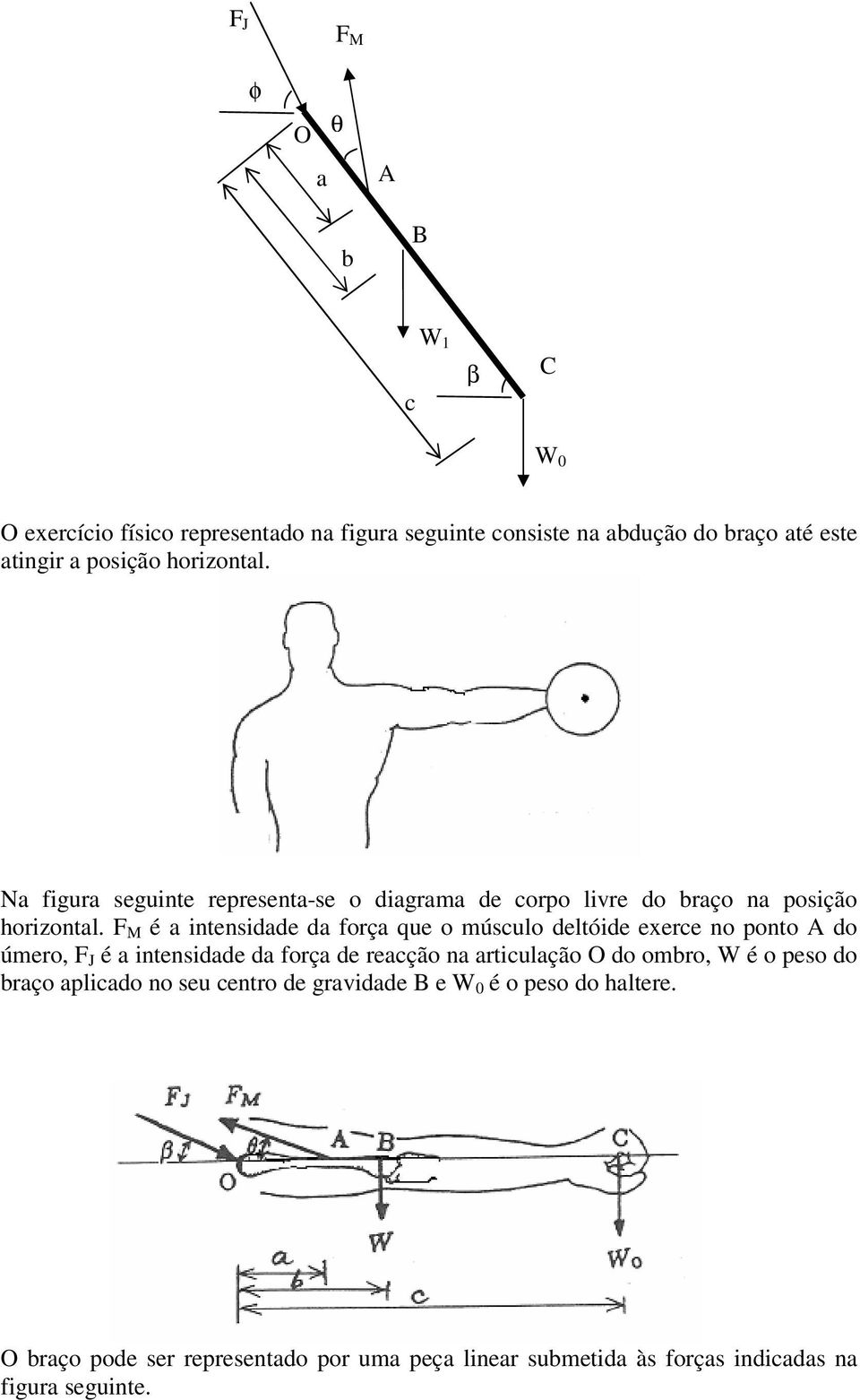 F M é a intensidade da força que o músculo deltóide exerce no ponto do úmero, F J é a intensidade da força de reacção na articulação O do