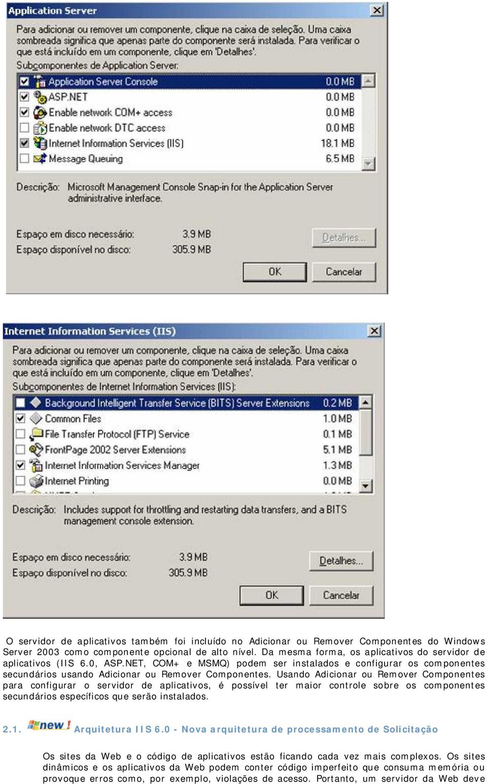 Usando Adicionar ou Remover Componentes para configurar o servidor de aplicativos, é possível ter maior controle sobre os componentes secundários específicos que serão instalados. 2.1.