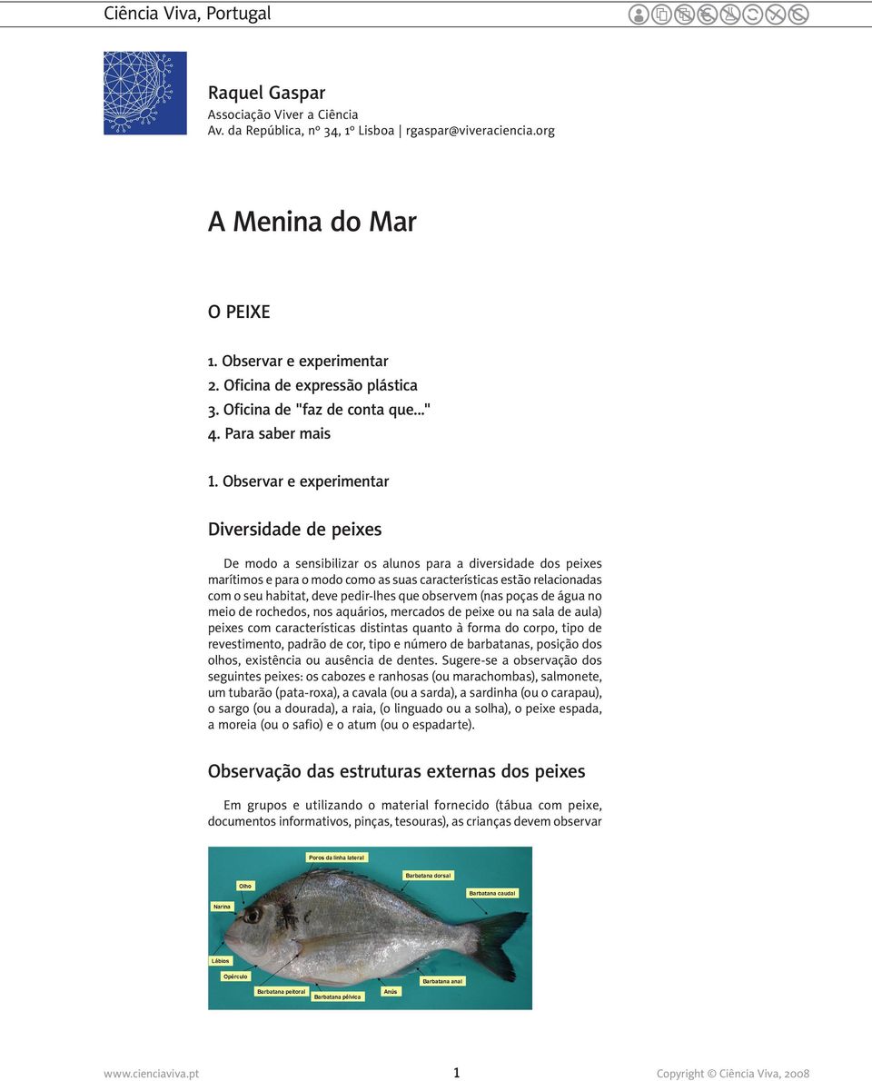 Observar e experimentar Diversidade de peixes De modo a sensibilizar os alunos para a diversidade dos peixes marítimos e para o modo como as suas características estão relacionadas com o seu habitat,